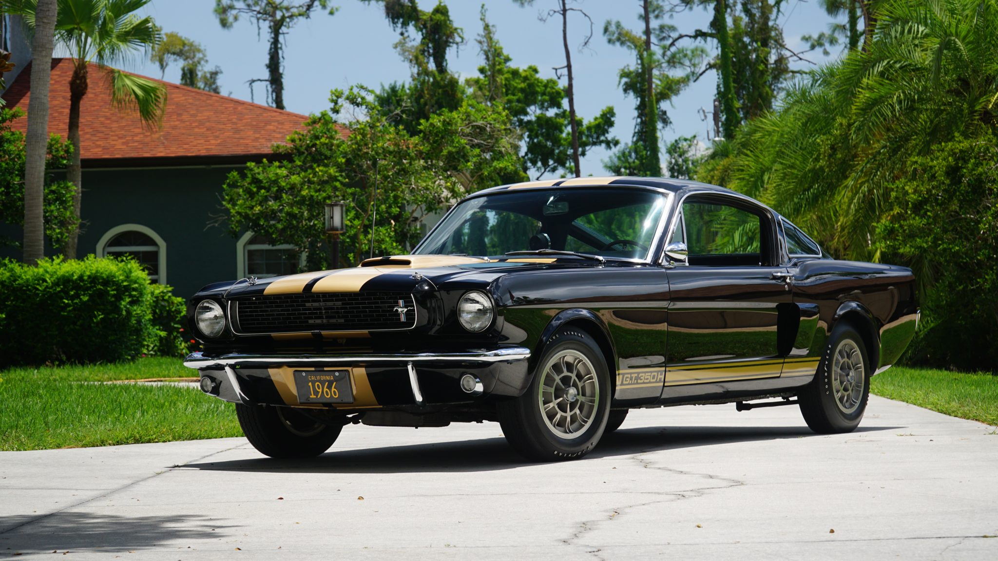 Shelby Mustang GT350 & GT500 