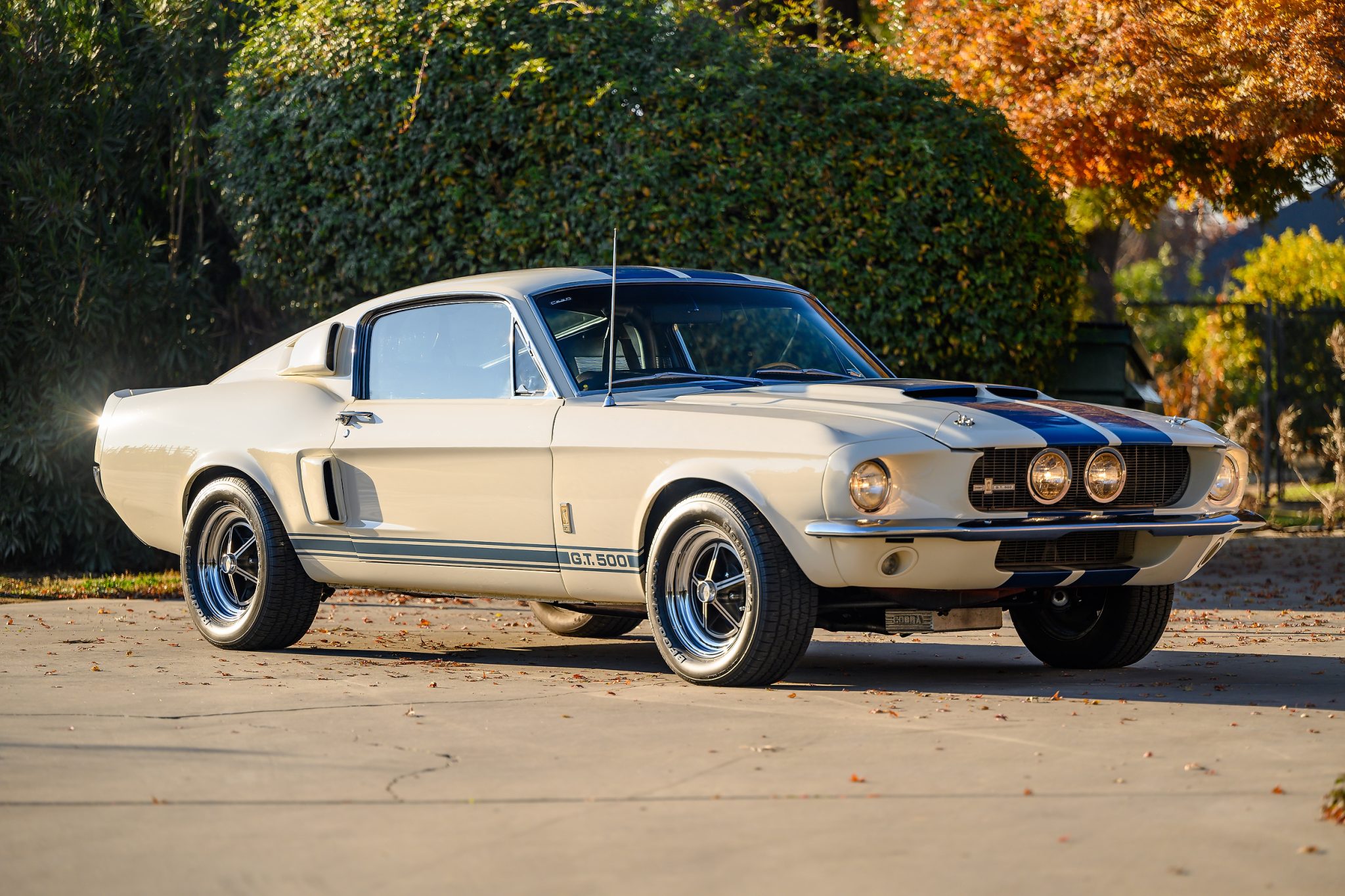 Shelby Mustang GT350 & GT500 