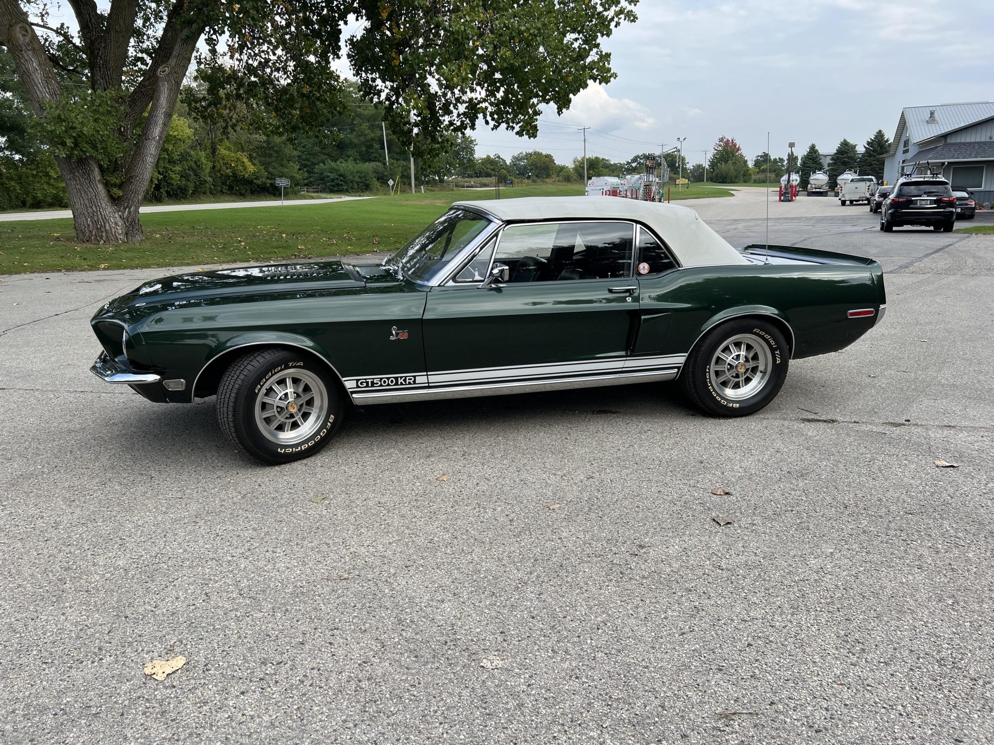 Shelby Mustang GT350 & GT500 
