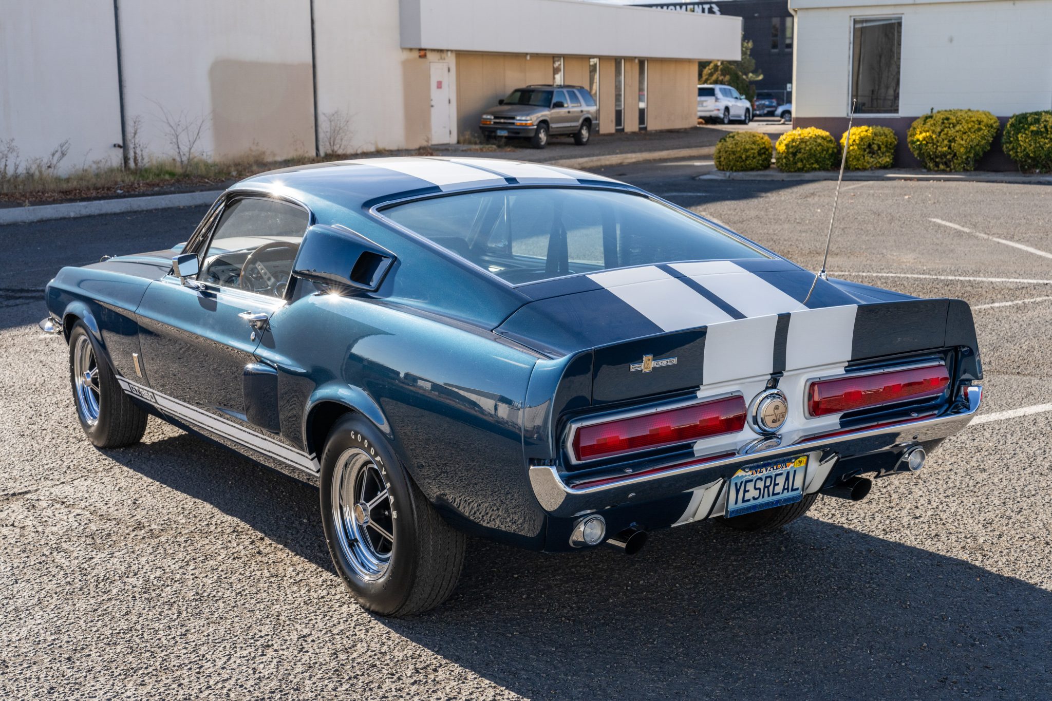Shelby Mustang GT350 & GT500 