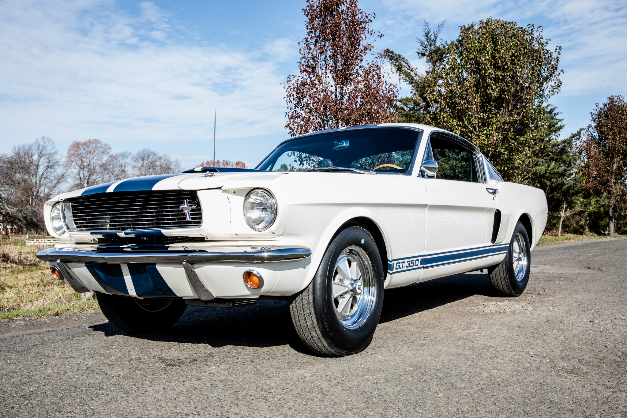 Shelby Mustang GT350 & GT500 