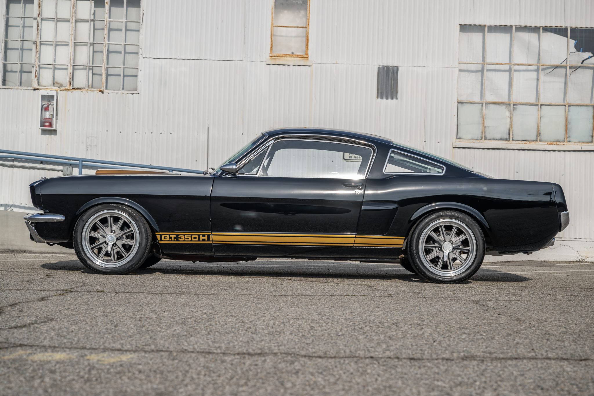 Shelby Mustang GT350 & GT500 