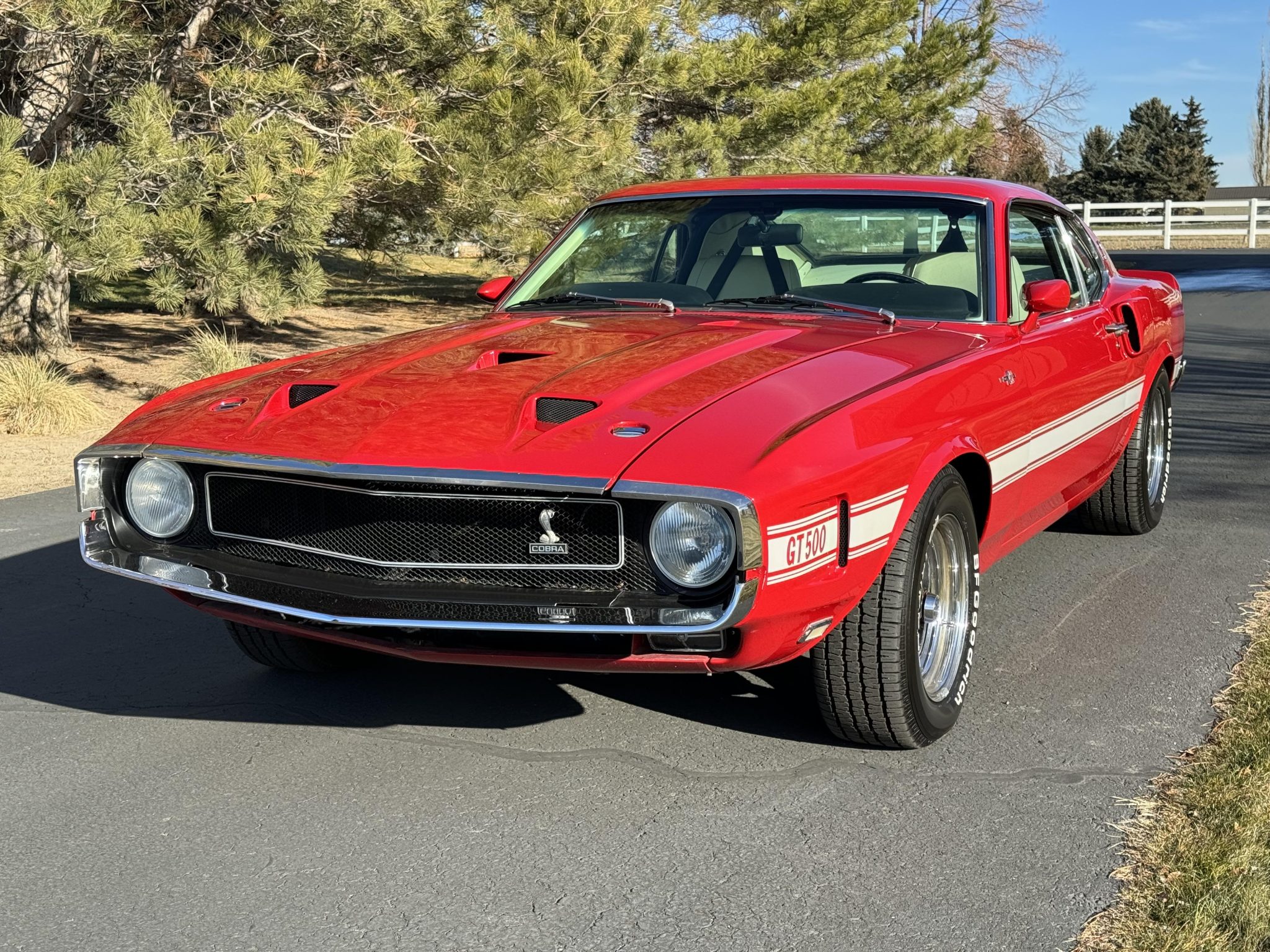 Shelby Mustang GT350 & GT500 