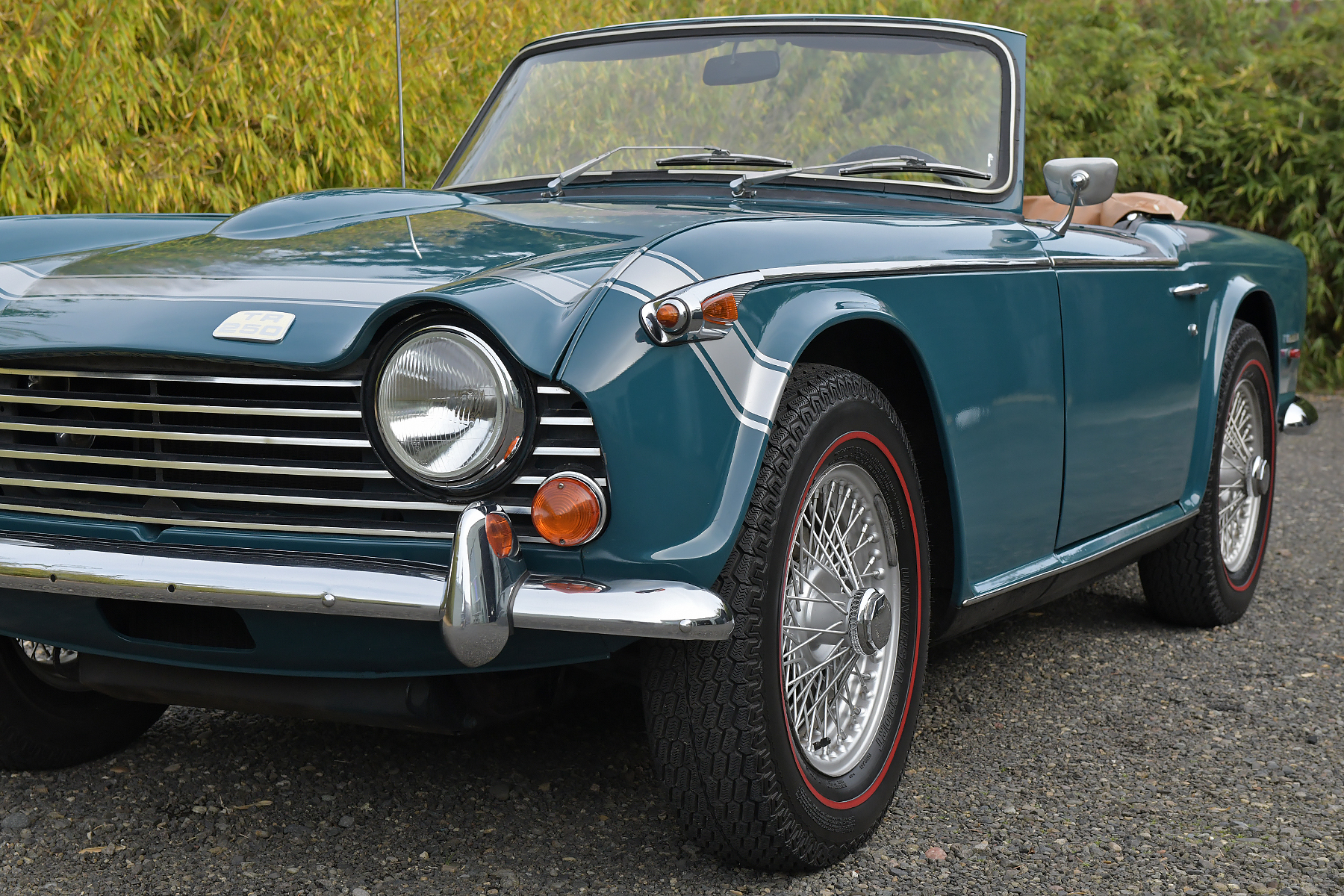 Triumph TR5 & TR250 