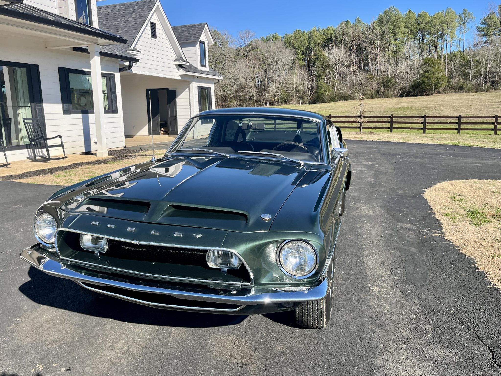 Shelby Mustang GT350 & GT500 