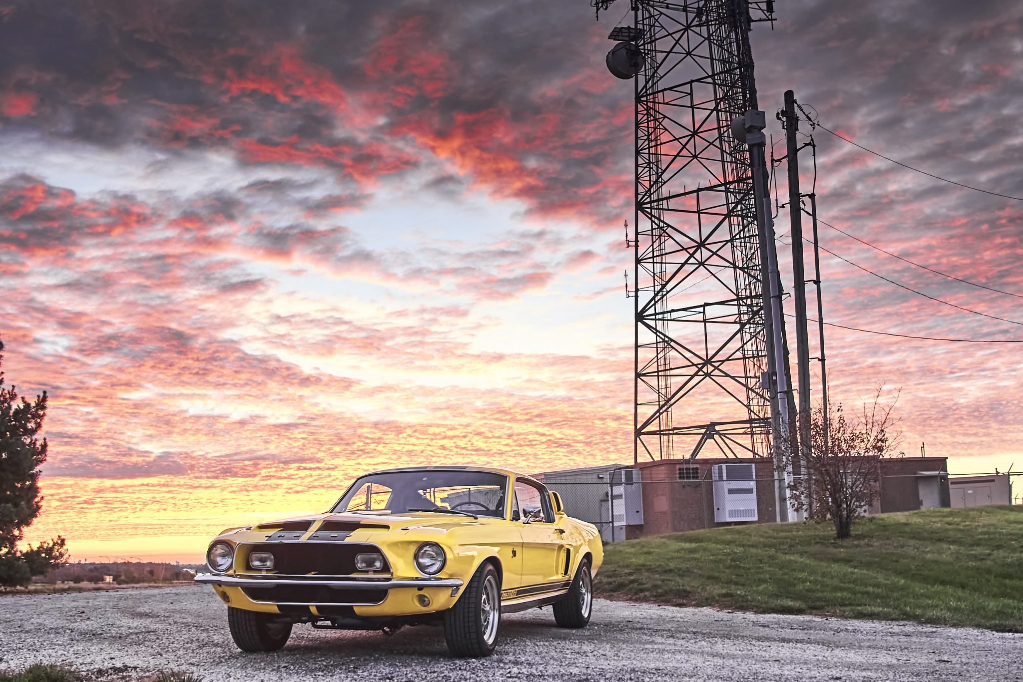 Shelby Mustang GT350 & GT500 