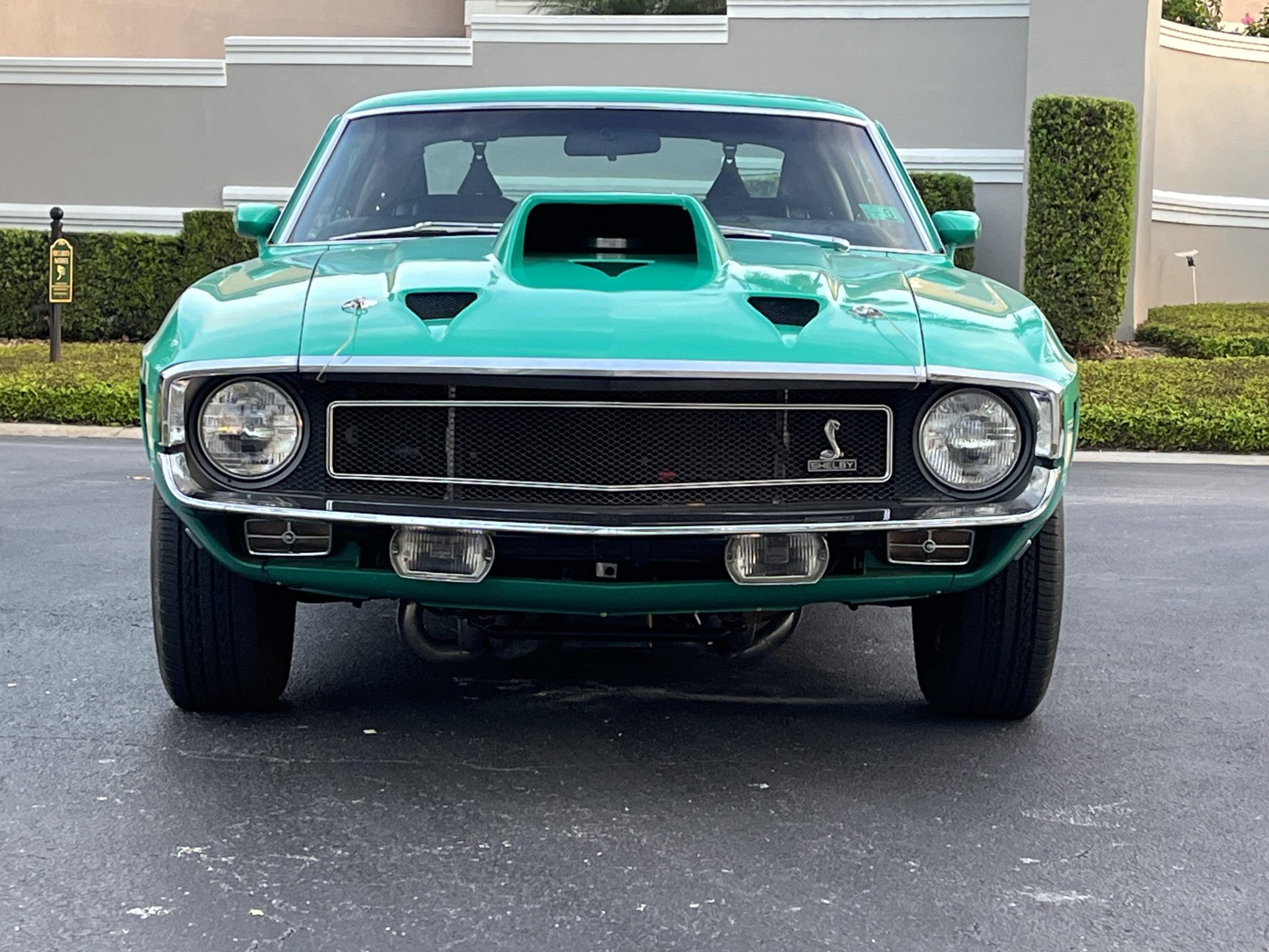 Shelby Mustang GT350 & GT500 