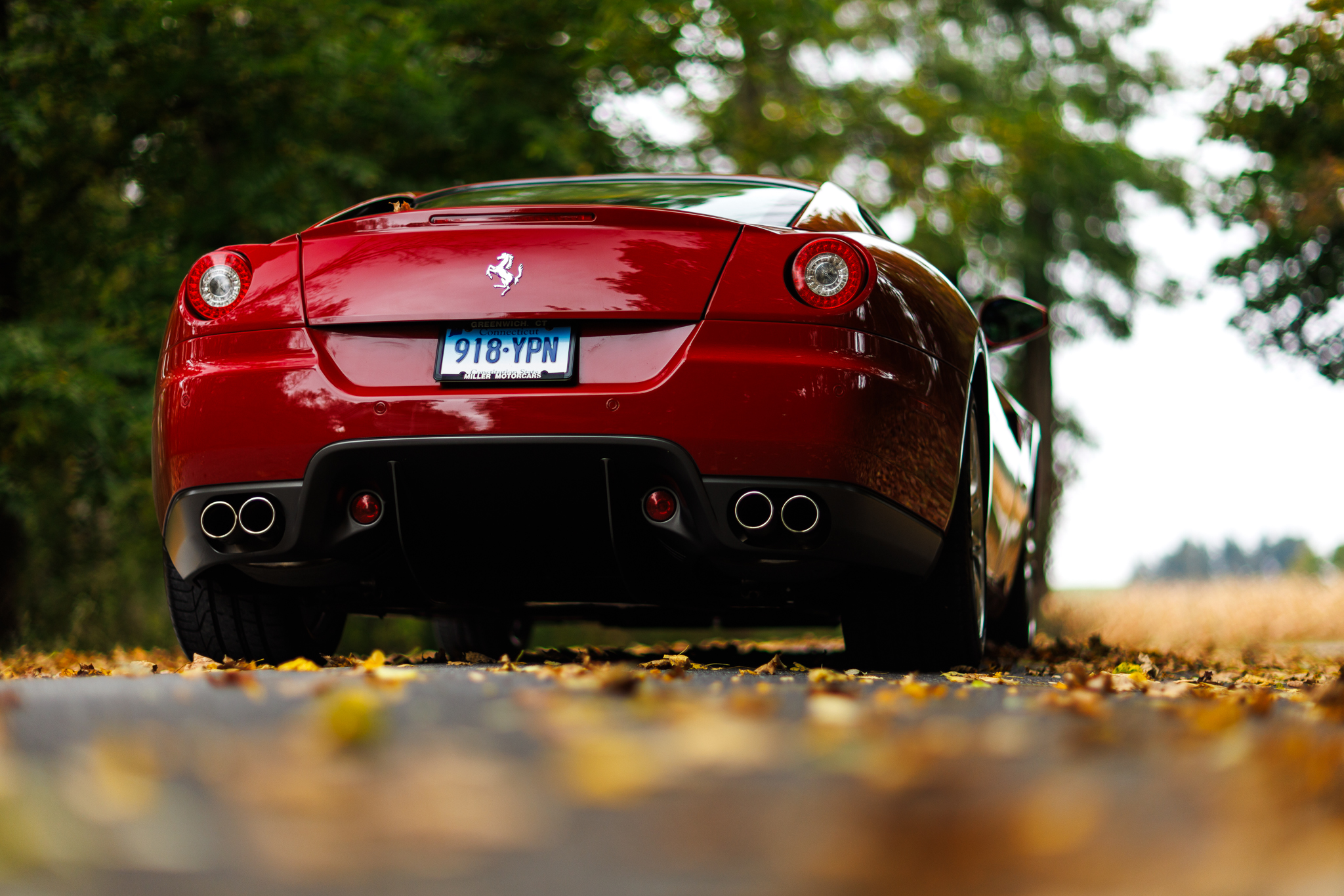 Ferrari 599 GTB & GTO 