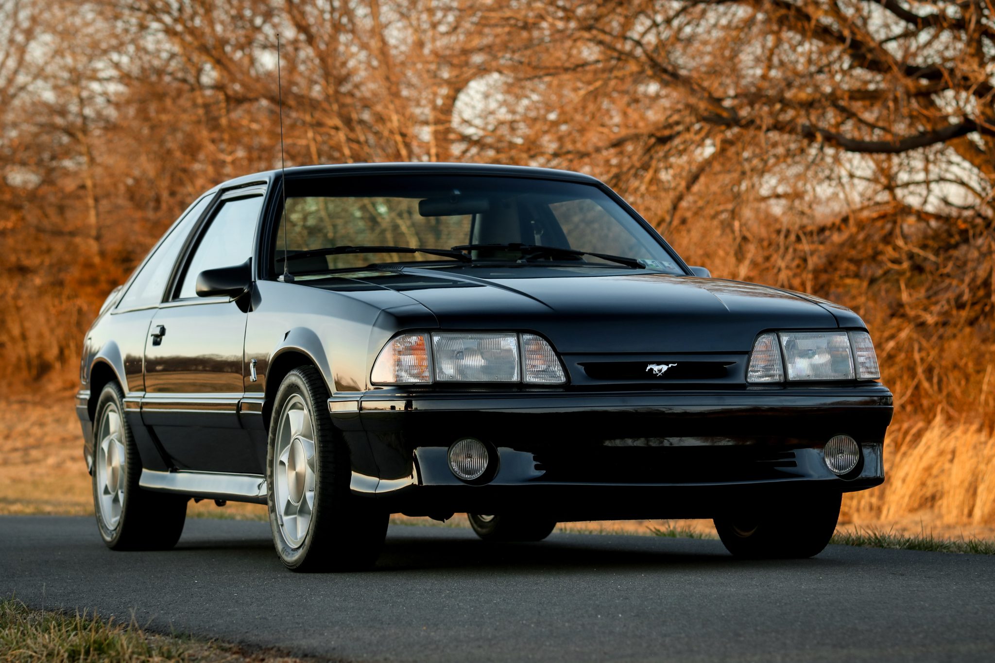 Ford Fox-Body Mustang 