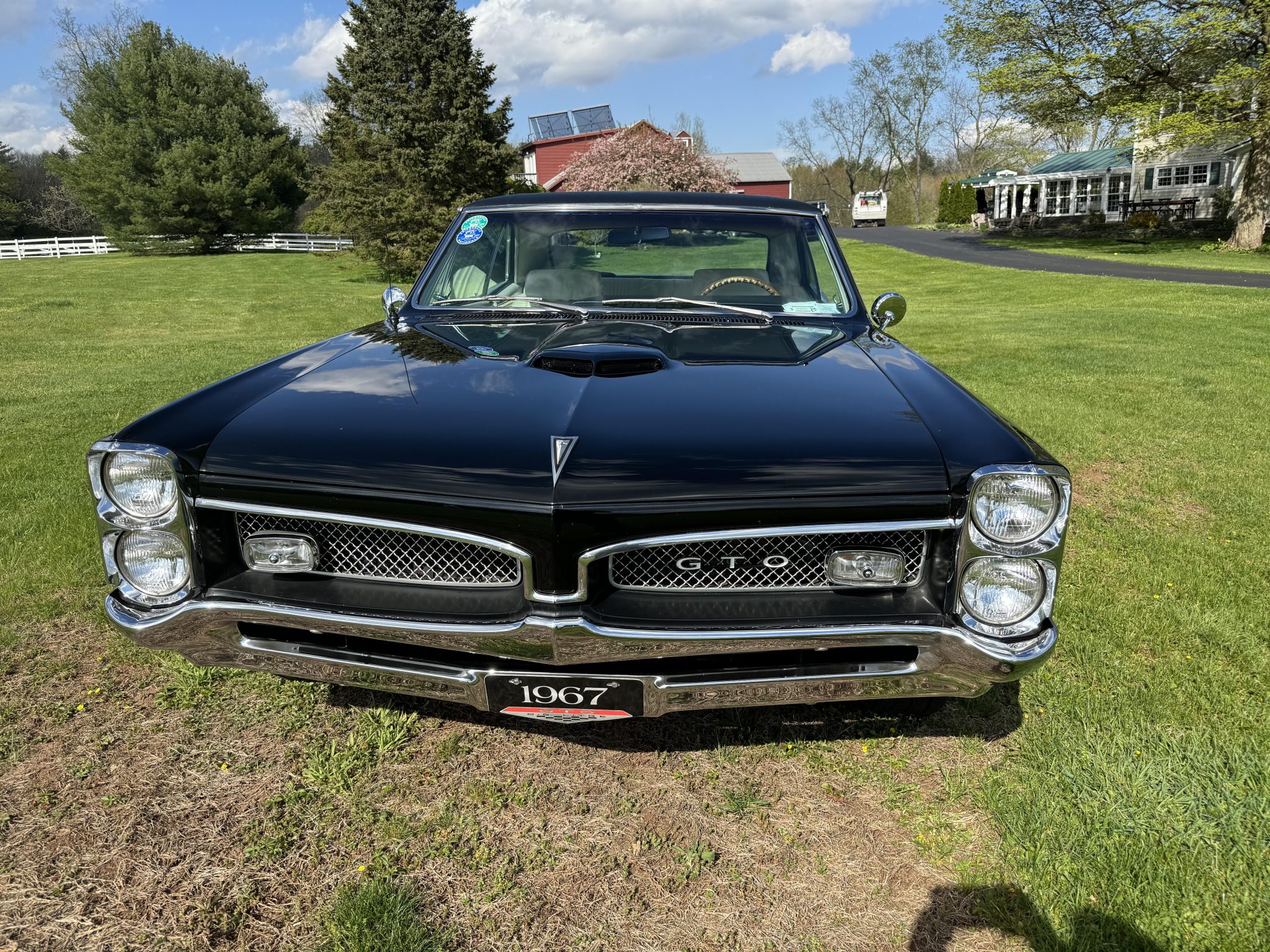 Pontiac GTO 
