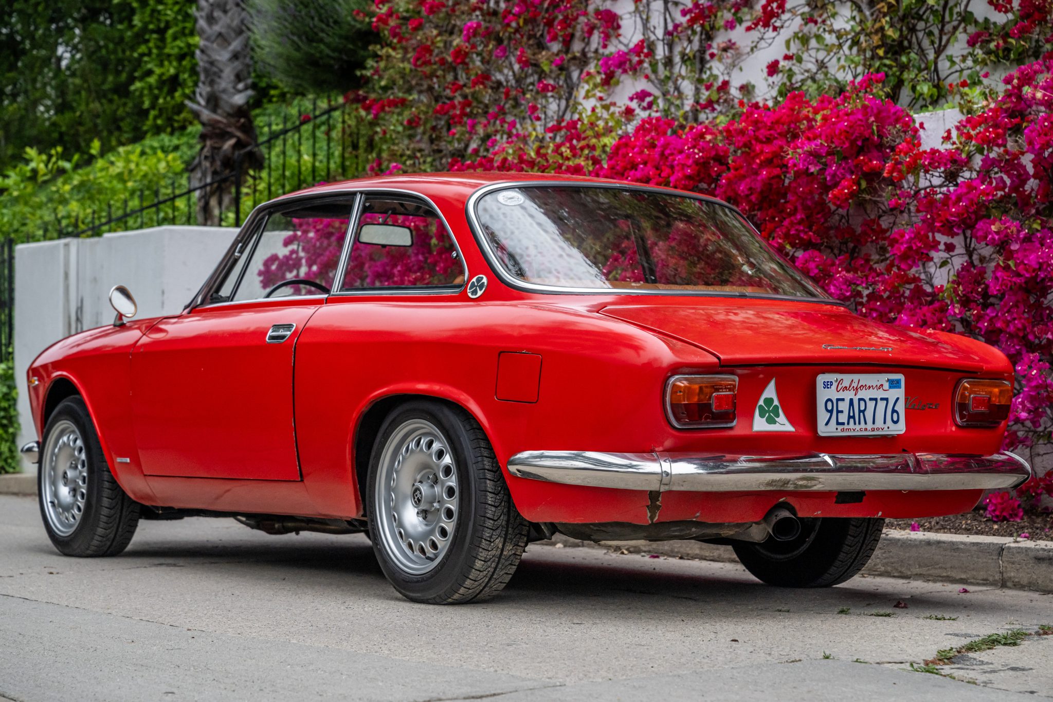 Alfa Romeo 105/115 Series Coupe 