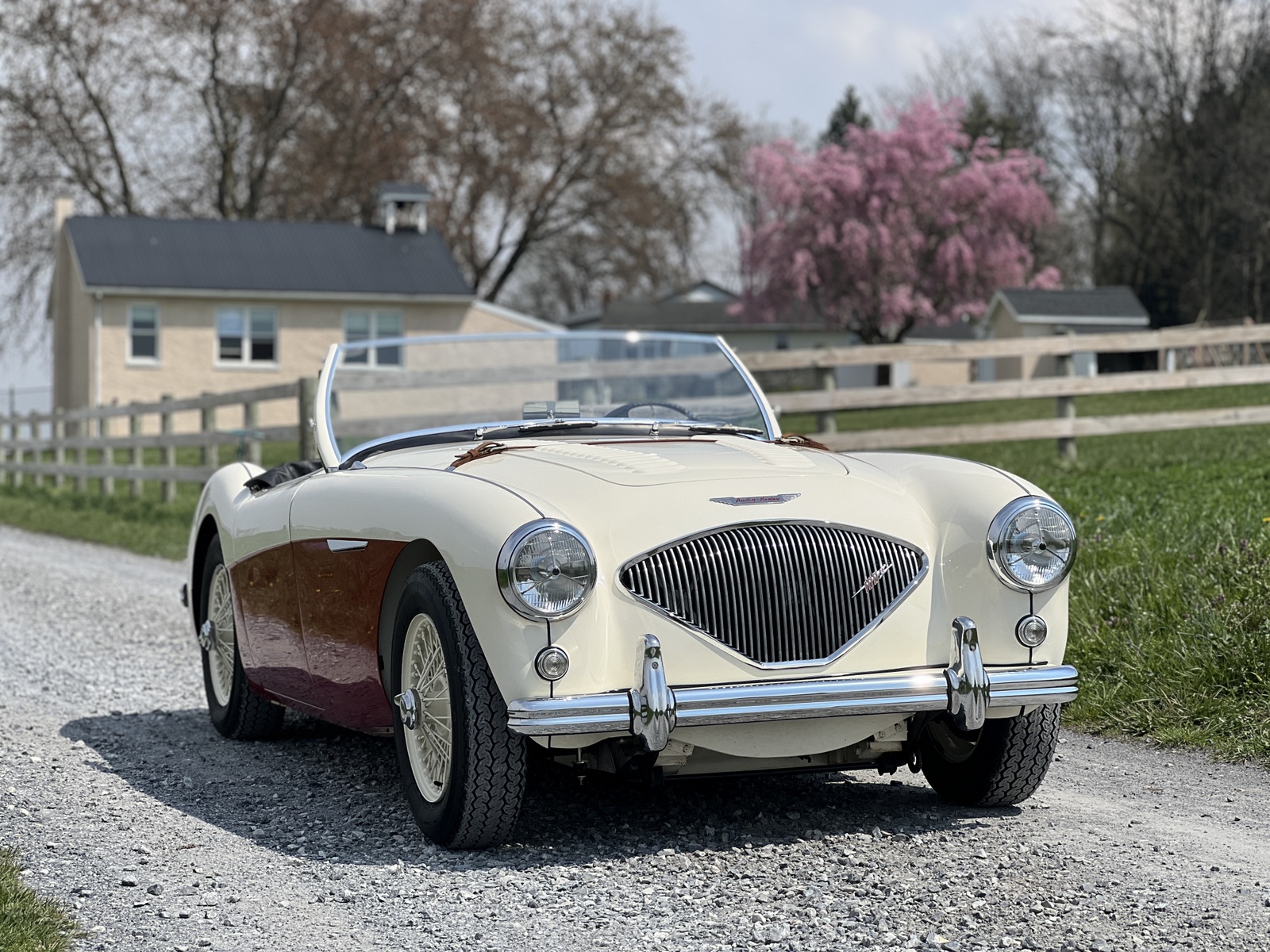 Austin-Healey 100 