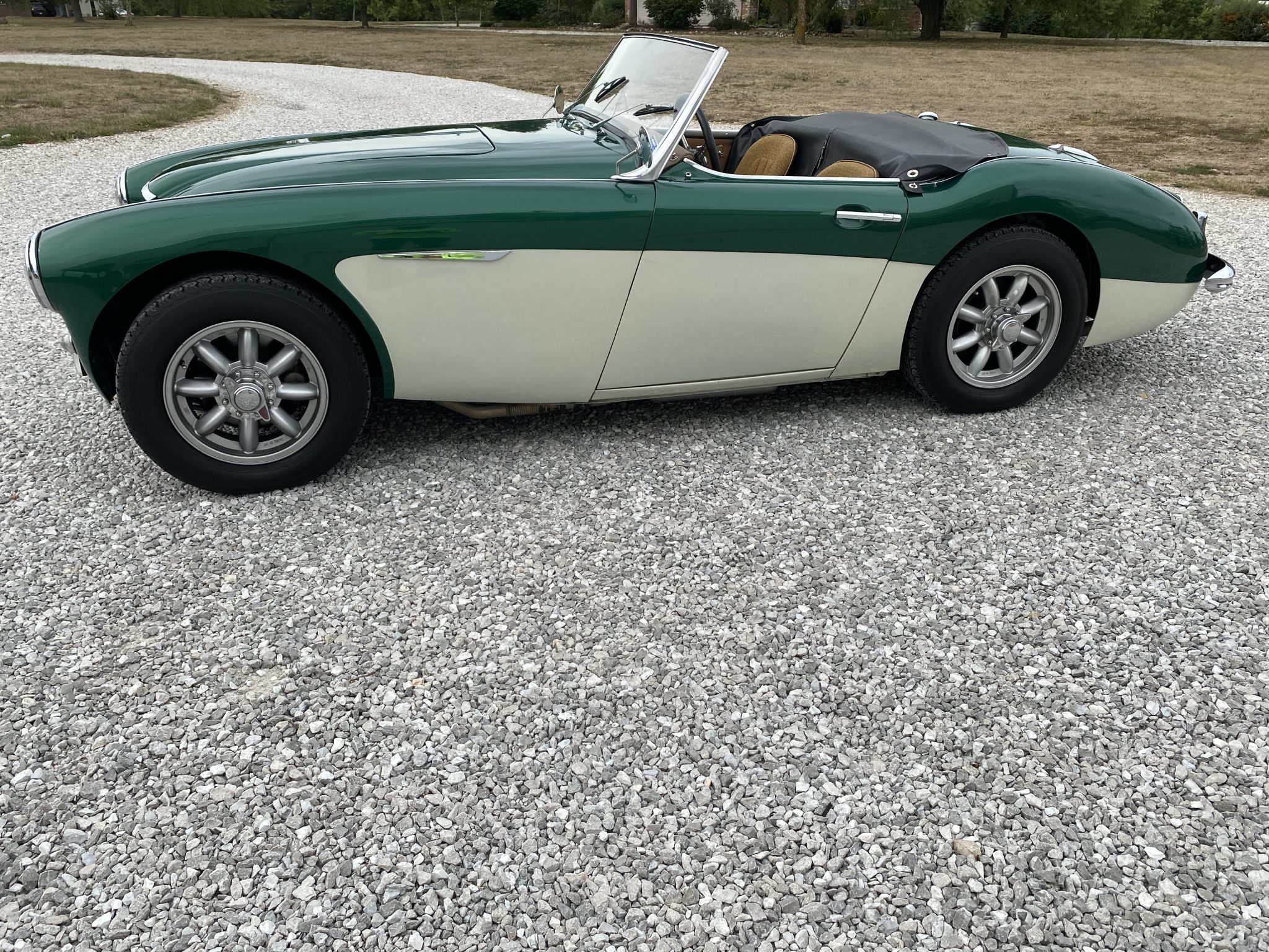 Austin-Healey 100-6 
