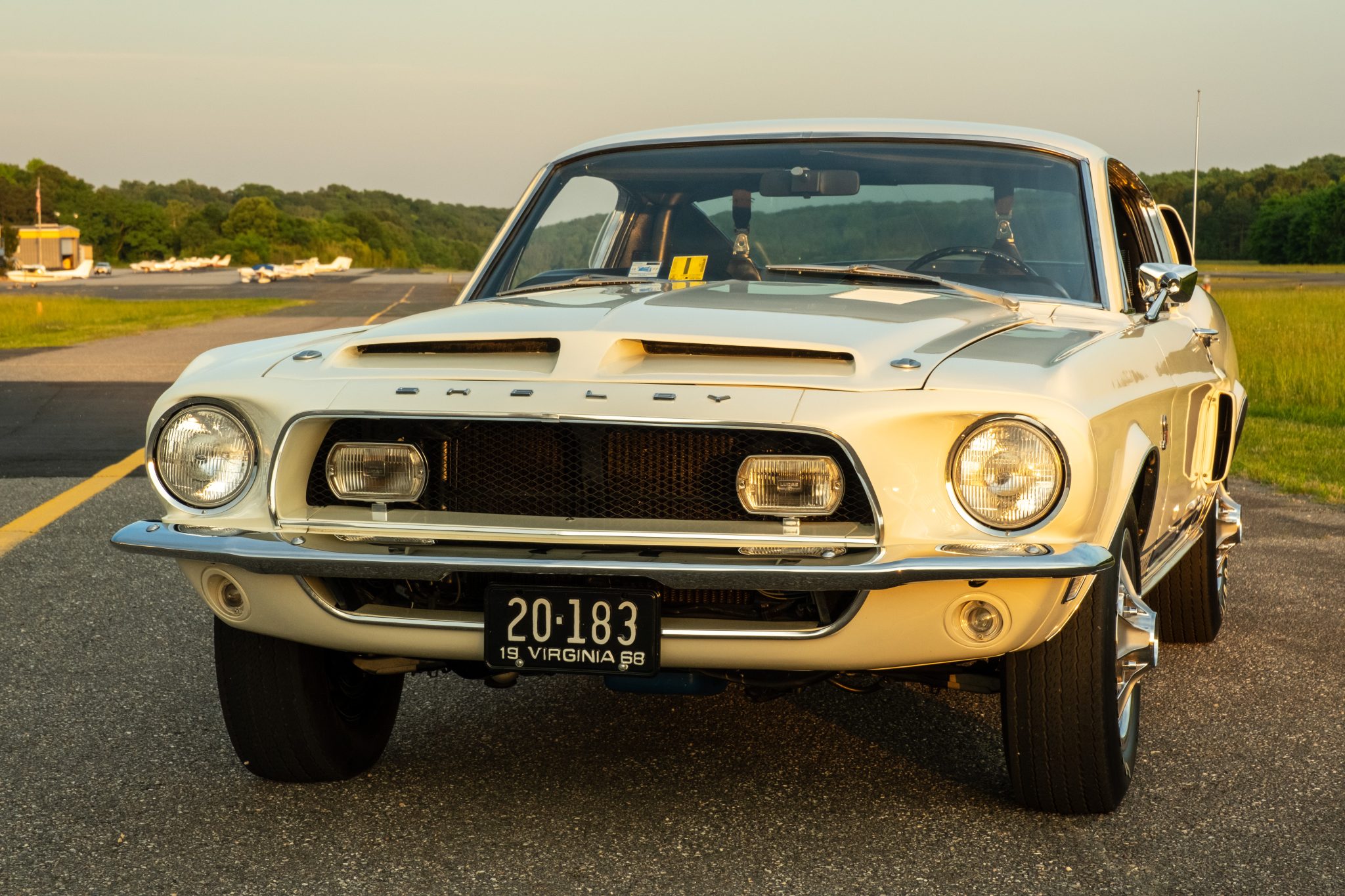 Shelby Mustang GT350 & GT500 