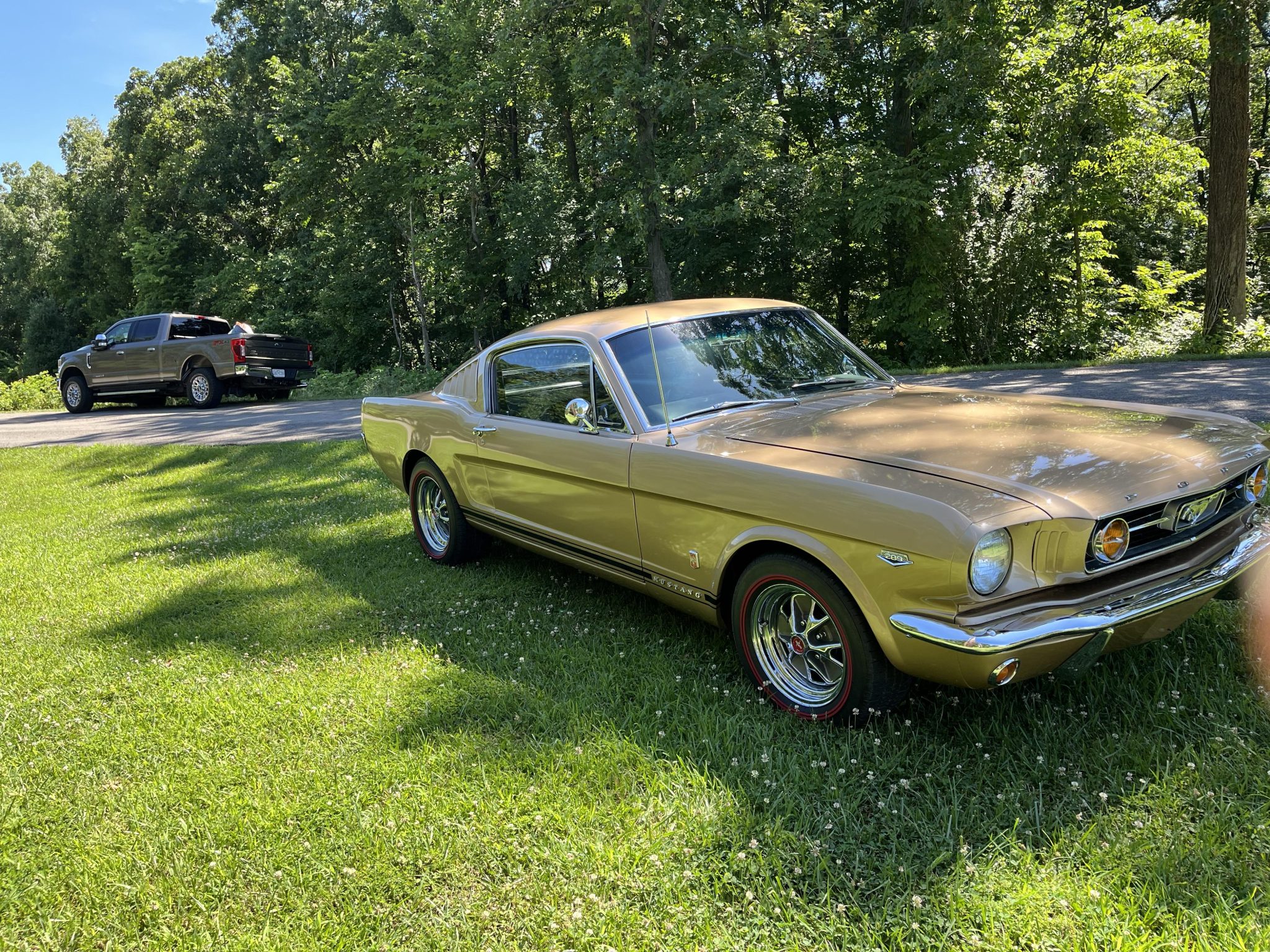 1966 Ford Mustang 1964.5-1966 