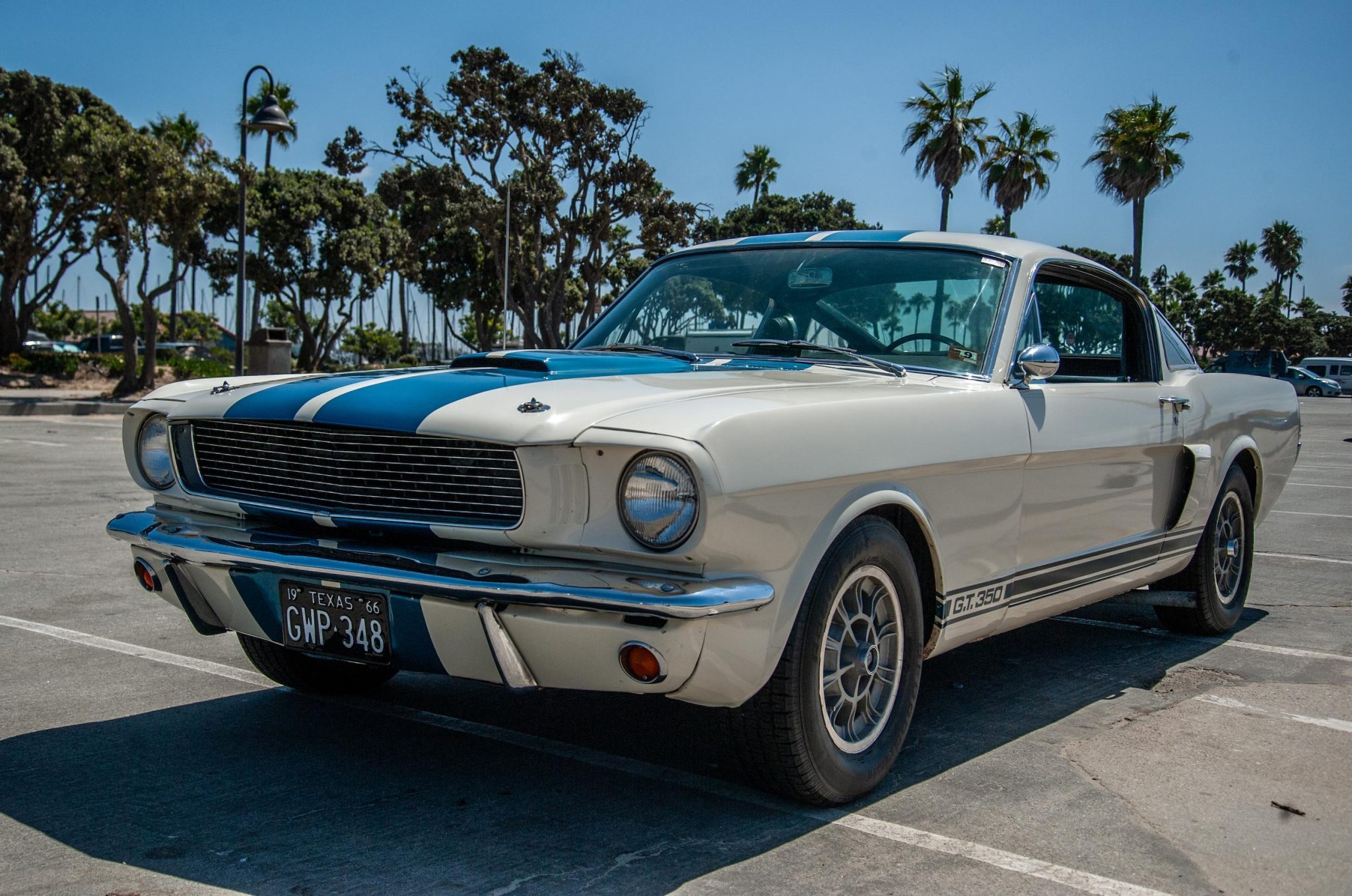 Shelby Mustang GT350 & GT500 