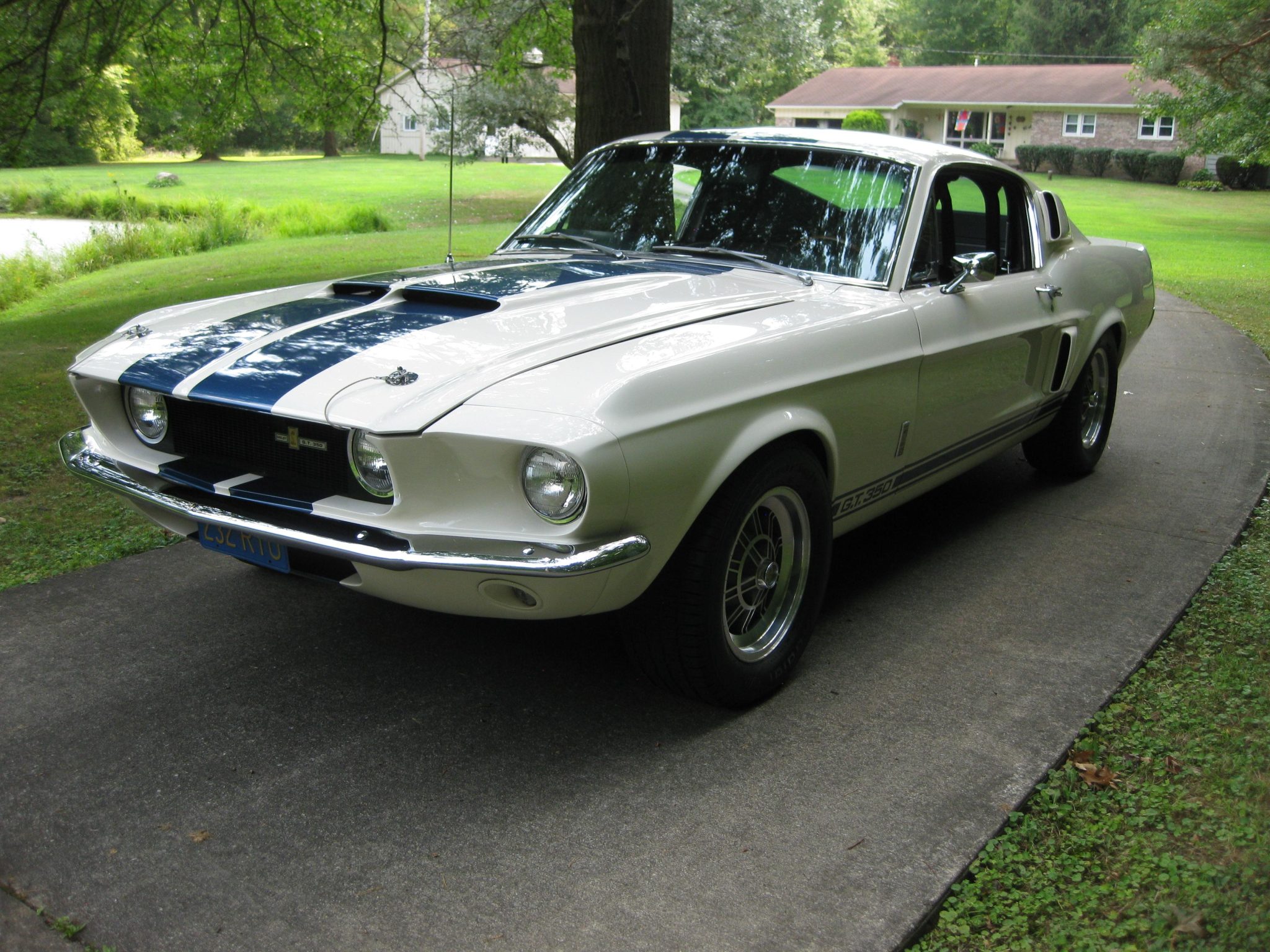 Shelby Mustang GT350 & GT500 