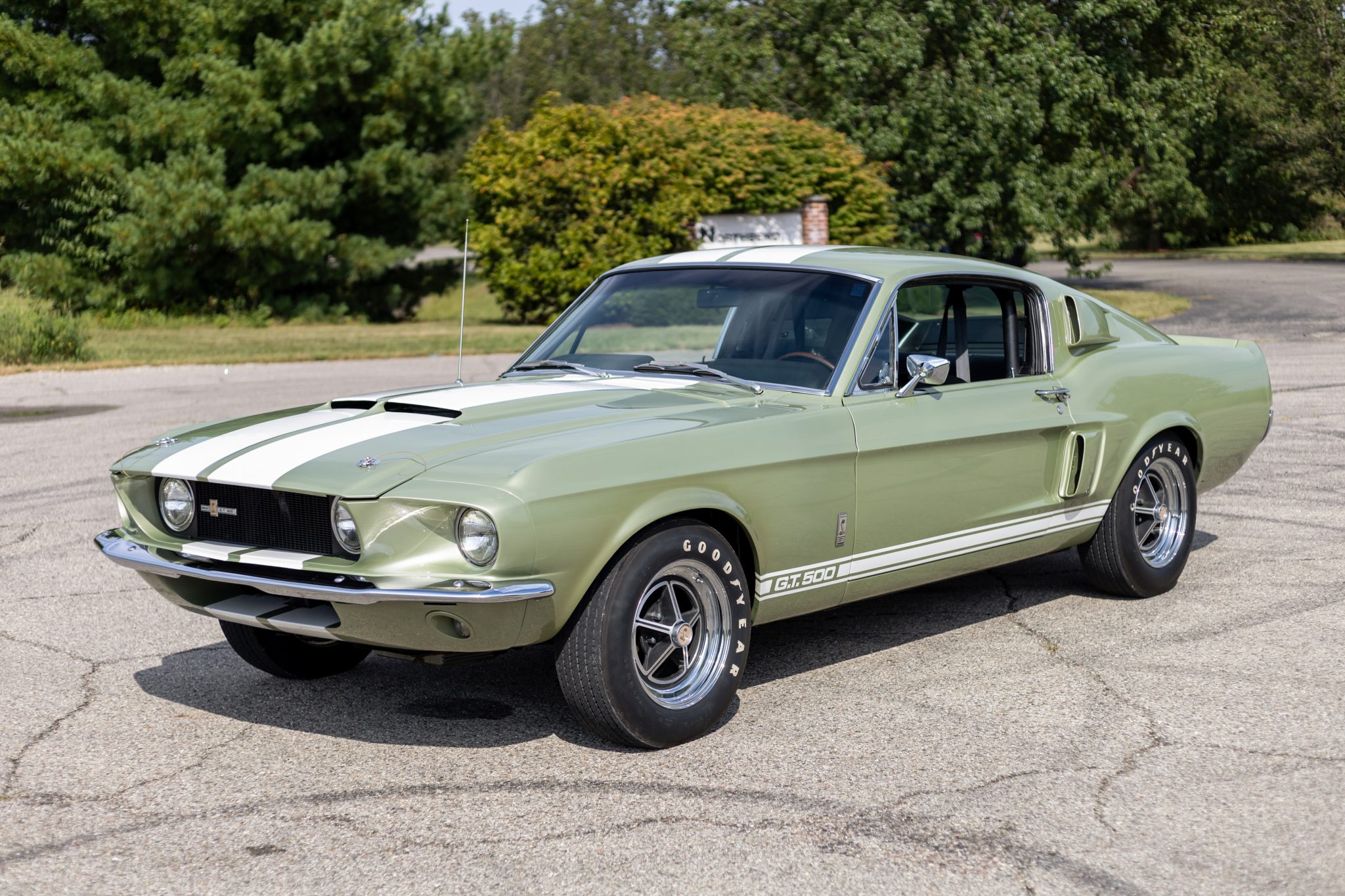 Shelby Mustang GT350 & GT500 