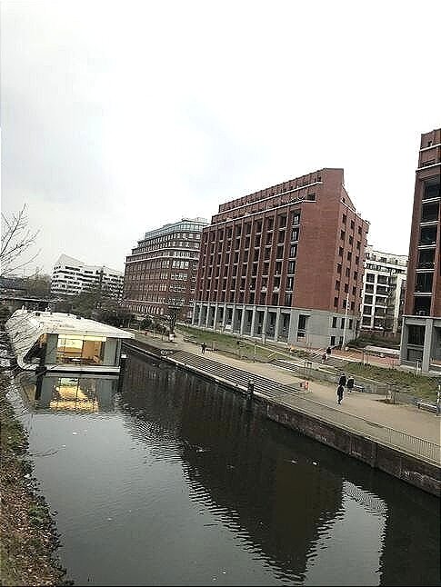 Wohnung zur Miete