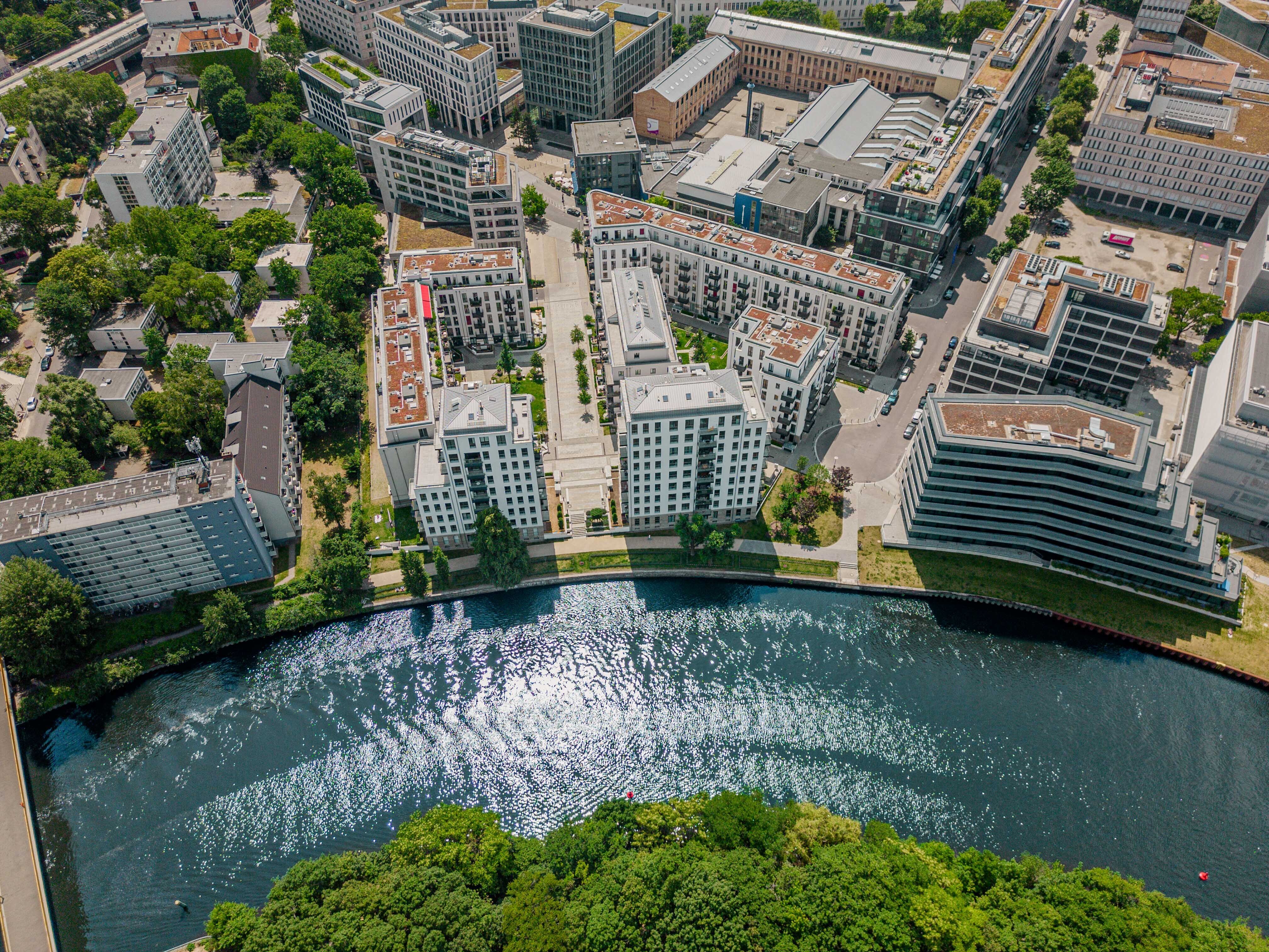 Wohnung zur Miete