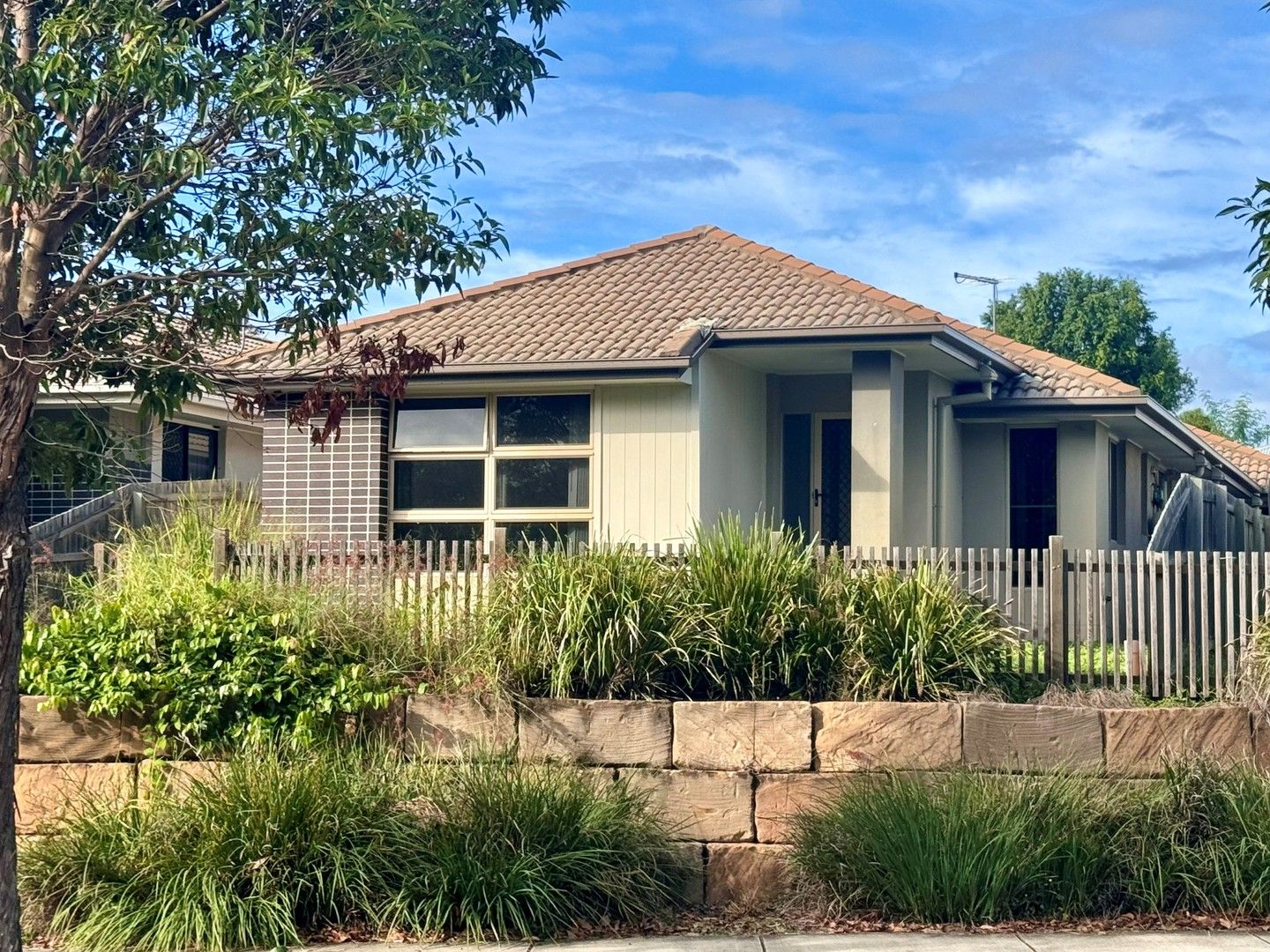 House for rent