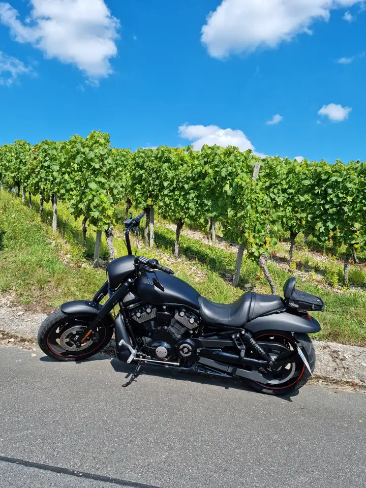 Harley-Davidson Night Rod VRSCDX VR1 V6F GRCBHO VROD / NIGHT ROD Special